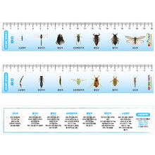 수생 곤충자(완제품-20cm)